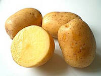 Ответы steklorez69.ru: Варёная картошка чернеет!!!
